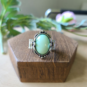 Paparazzi - Springtime Splendor - Green Ring